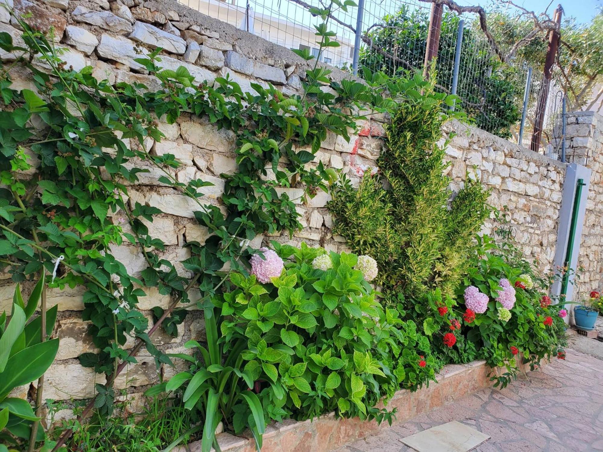 Guest House Sandri Sarandë 外观 照片